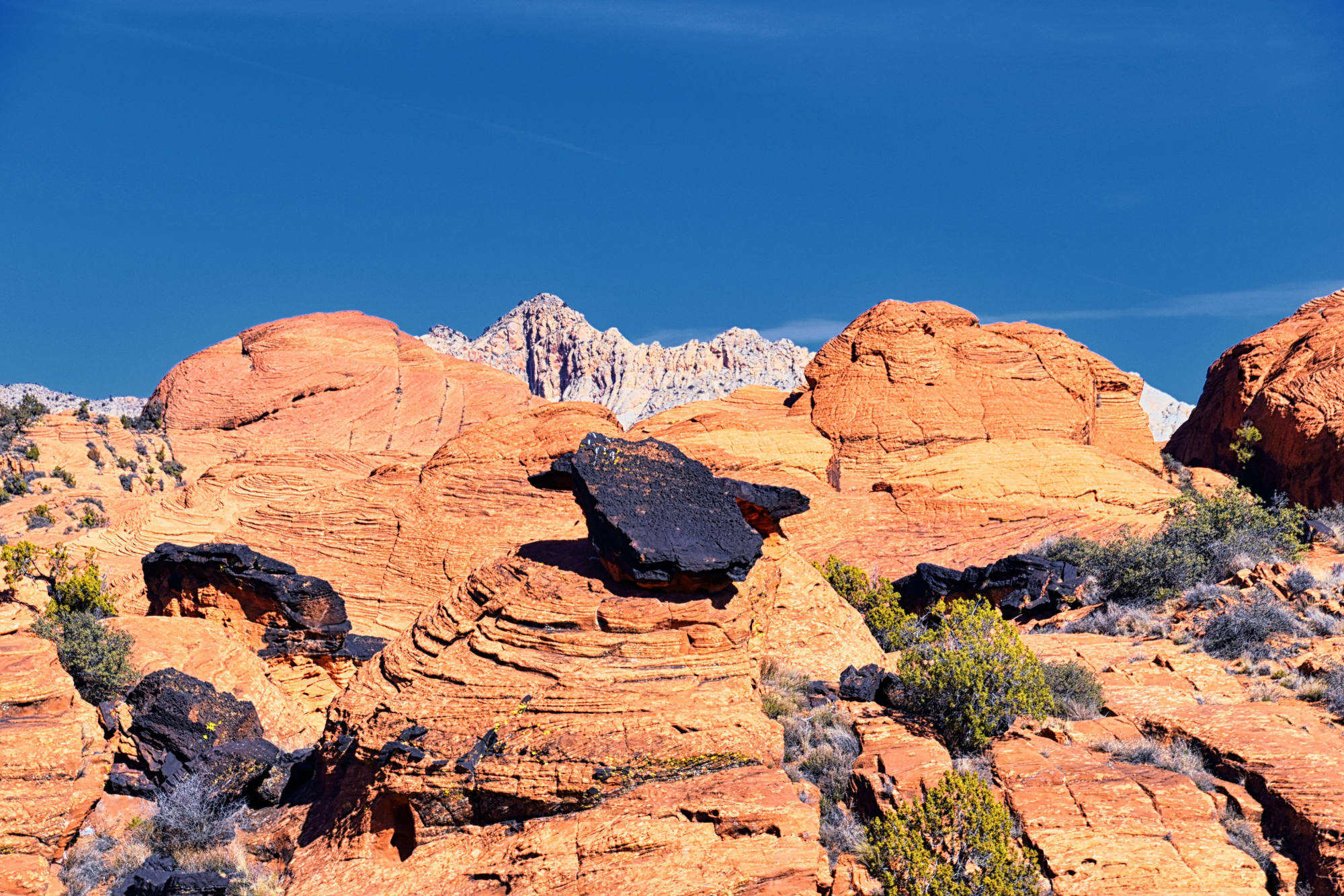 Cliffs National Conservation Area Wilderness St George, Utah, United States.